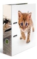 HERMA Ordner A4 Karton Katze - Bürokleinmaterial