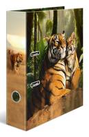 HERMA Ordner A4 Karton Tiger