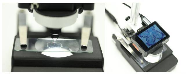 DFRobot HUSKYLENS 2 Microscope Lens Module, 30x Vergrößerung, 6 mm Linse, 3 µm Auflösung