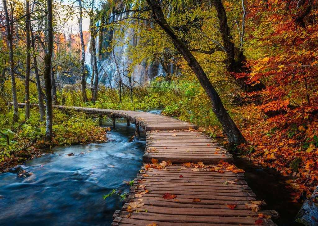 Herbstlicher Waldweg – 1000 Teile Puzzle von Ravensburger