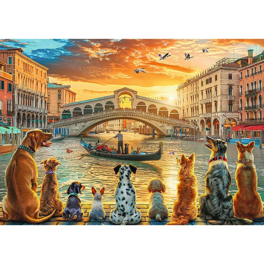 Trefl, Hunde in Venedig, 1000 Teile Puzzle
