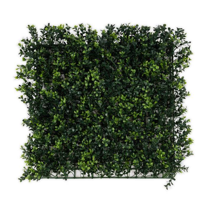 FLOORDIREKT Pflanzenwand Boxwood - Natürliches, pflegefreies Kunstpflanzen-Panel - Sonnenbeständig & individuell erweiterbar - 50 × 50 cm