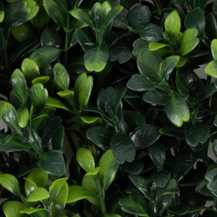 FLOORDIREKT Pflanzenwand Boxwood - Natürliches, pflegefreies Kunstpflanzen-Panel - Sonnenbeständig & individuell erweiterbar - 50 × 50 cm