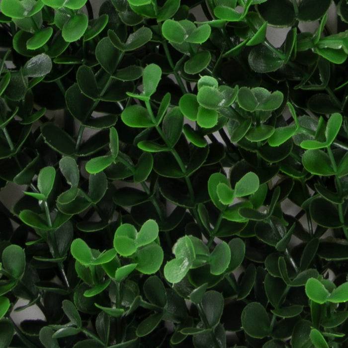 FLOORDIREKT Pflanzenwand Buxus - Natürliches, pflegefreies Kunstpflanzen-Panel - Sonnenbeständig & individuell erweiterbar - 50 × 50 cm