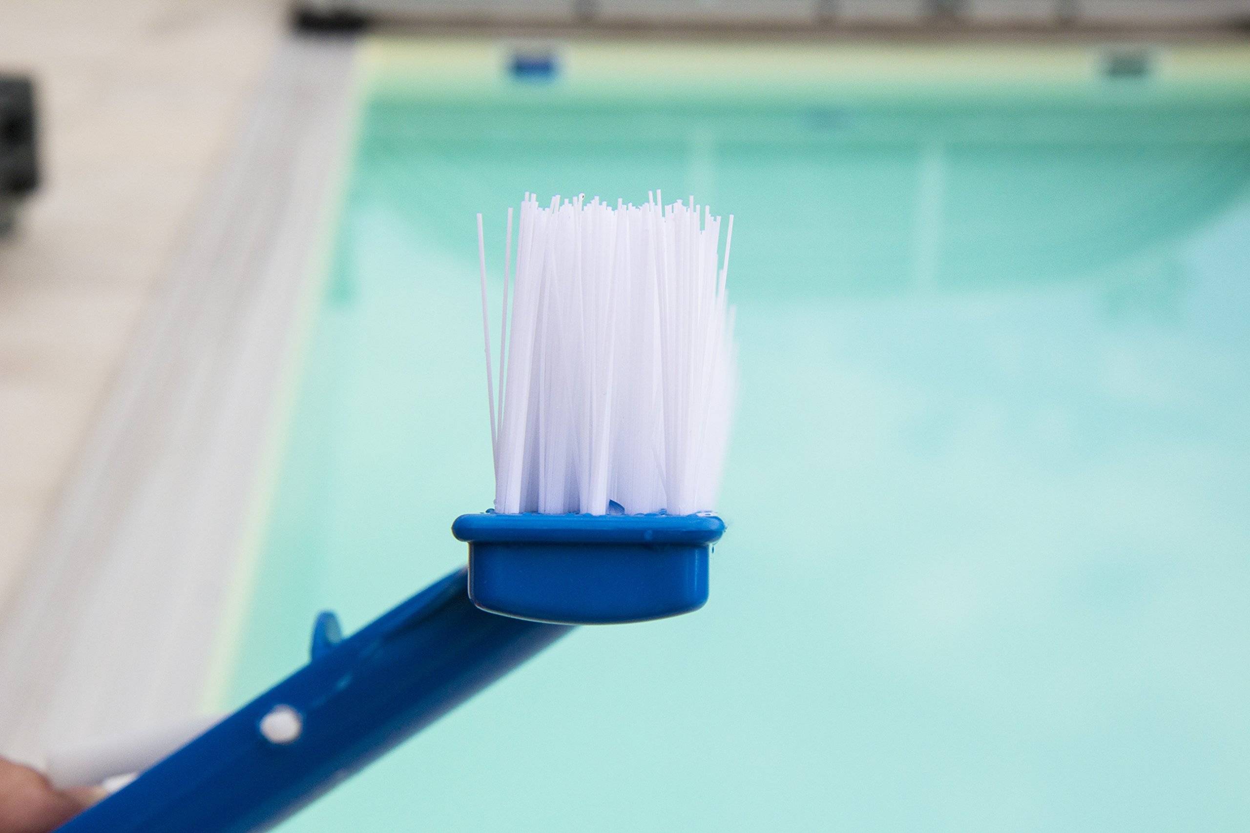 Steinbach | Beckenbürste kompakt | kompatibel mit Teleskopstange | Länge: 25 cm | ideal für effektive Poolpflege