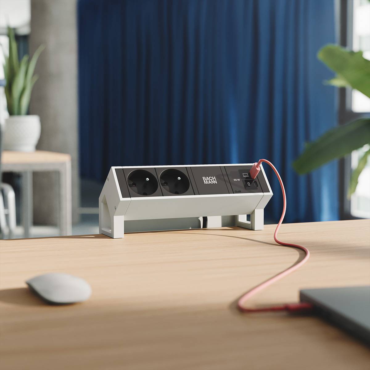 BACHMANN DESK2 2xUTE 1xUSB C/C 65W, L=0,2m RAL9010