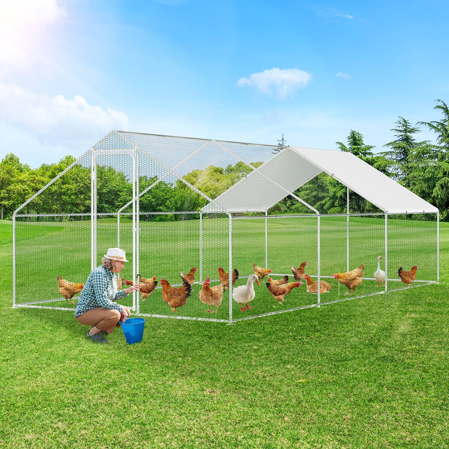 Hühnerstall 3x6x2 m mit Dach, Metall Freilaufgehege verzinkt