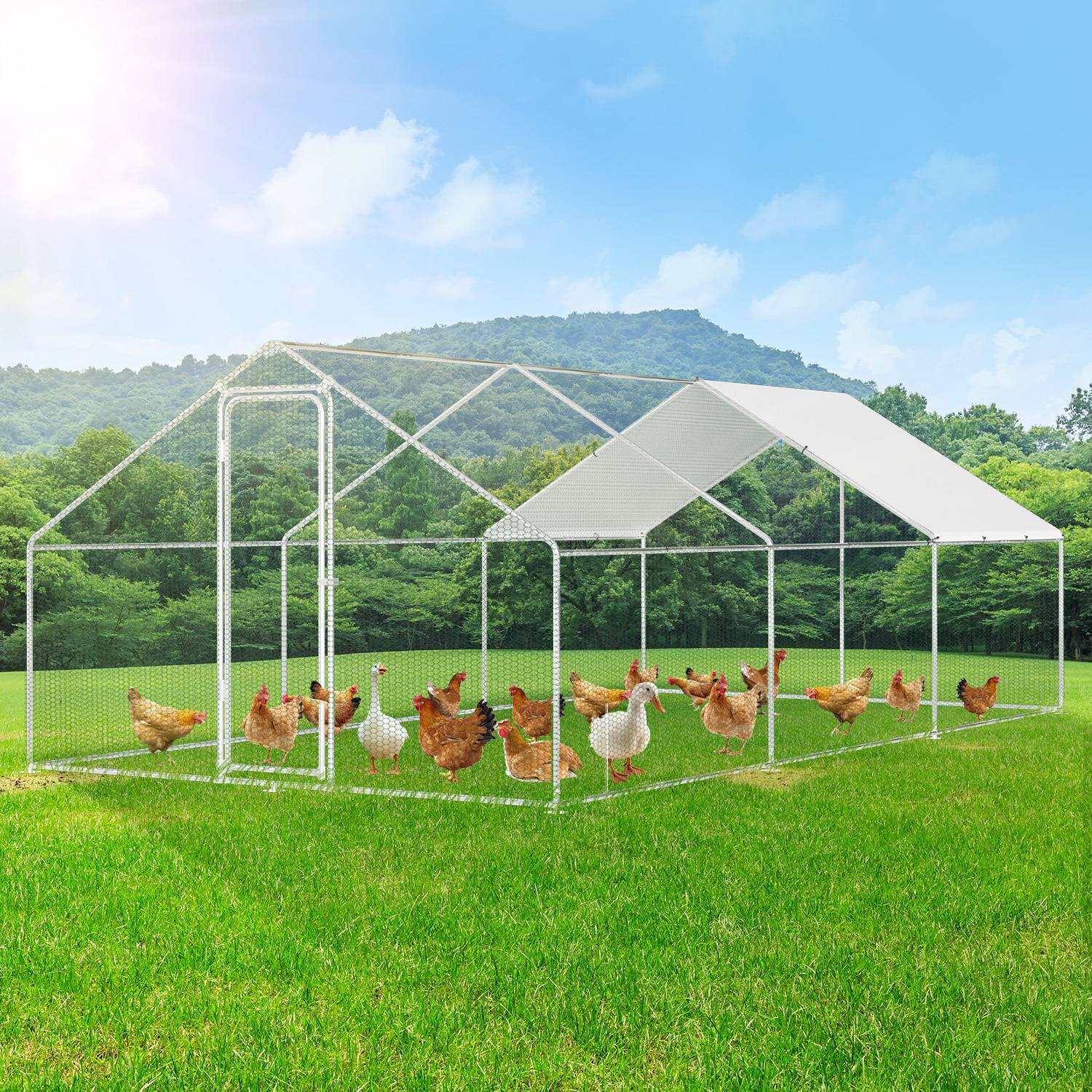 Hühnerstall 3x8x2 m mit Dach, Metall Freilaufgehege verzinkt