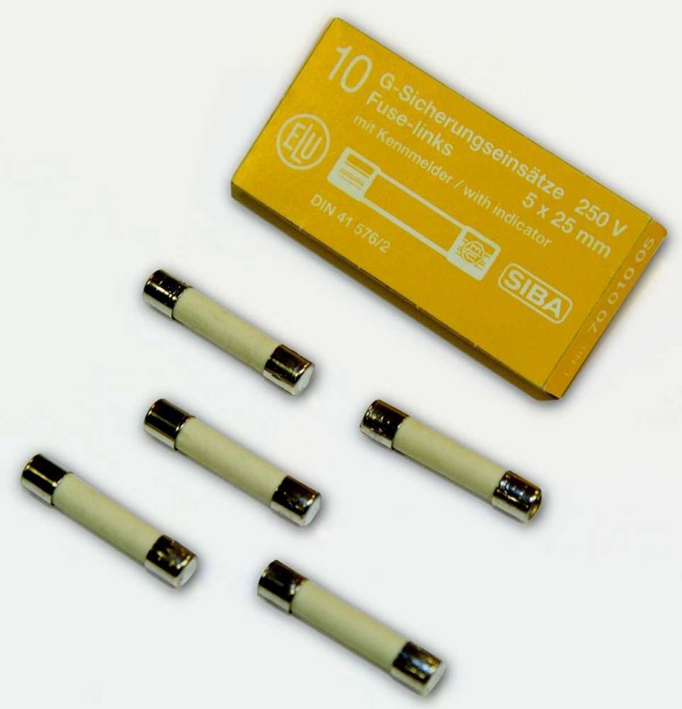 Siba G-Sicherung M 100mA 172526