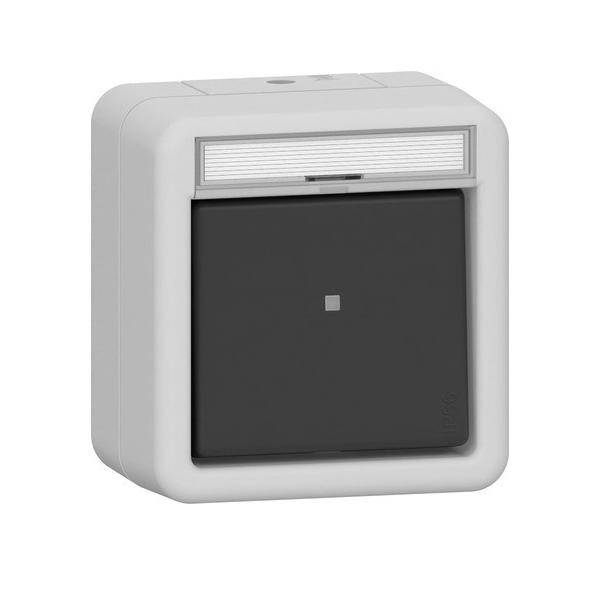 Gira Wippschalter AusWe 310631