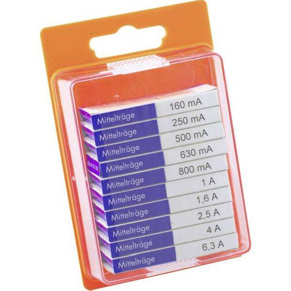 ESKA Schweizer Sicherungssortiment 100x 5x20mm Feinsicherungen mittelträge