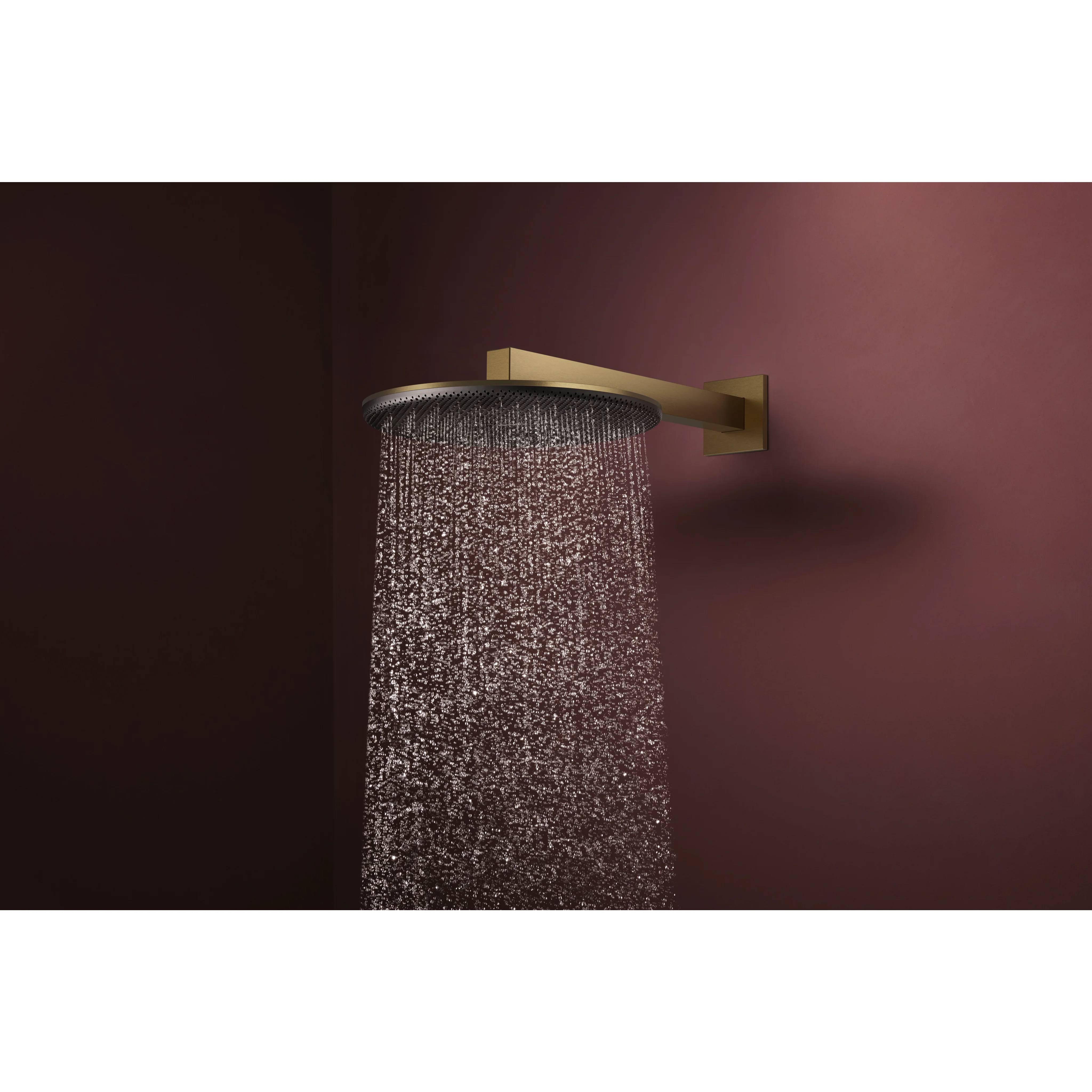hansgrohe Raindance Alive S Kopfbrause 300 1jet, Brushed Bronze
