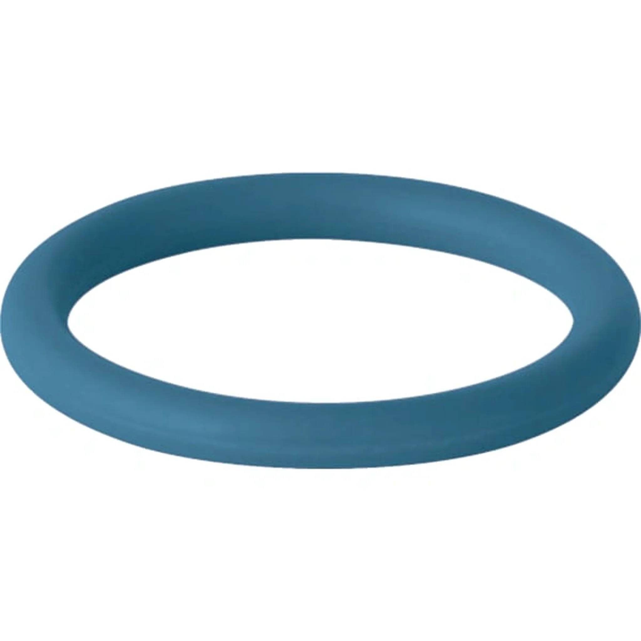 Geberit Mapress Dichtring, FKM, blau, d76,1mm, Packung mit 5 Stk.