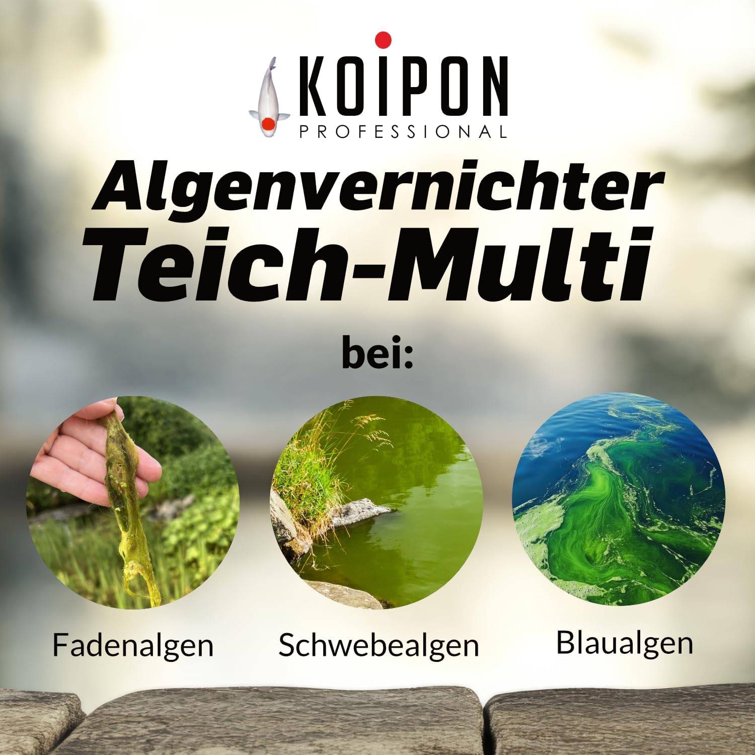 KOIPON Algenvernichter Teich-Multi 5L gegen Faden- & Schwebealgen