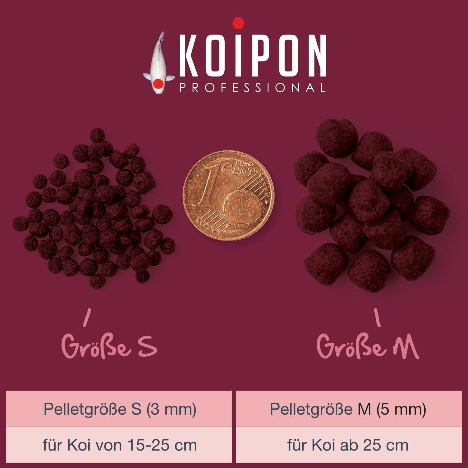 KOIPON Premium Störfutter 3kg 6mm Pellets sinkend für Störe & Koi