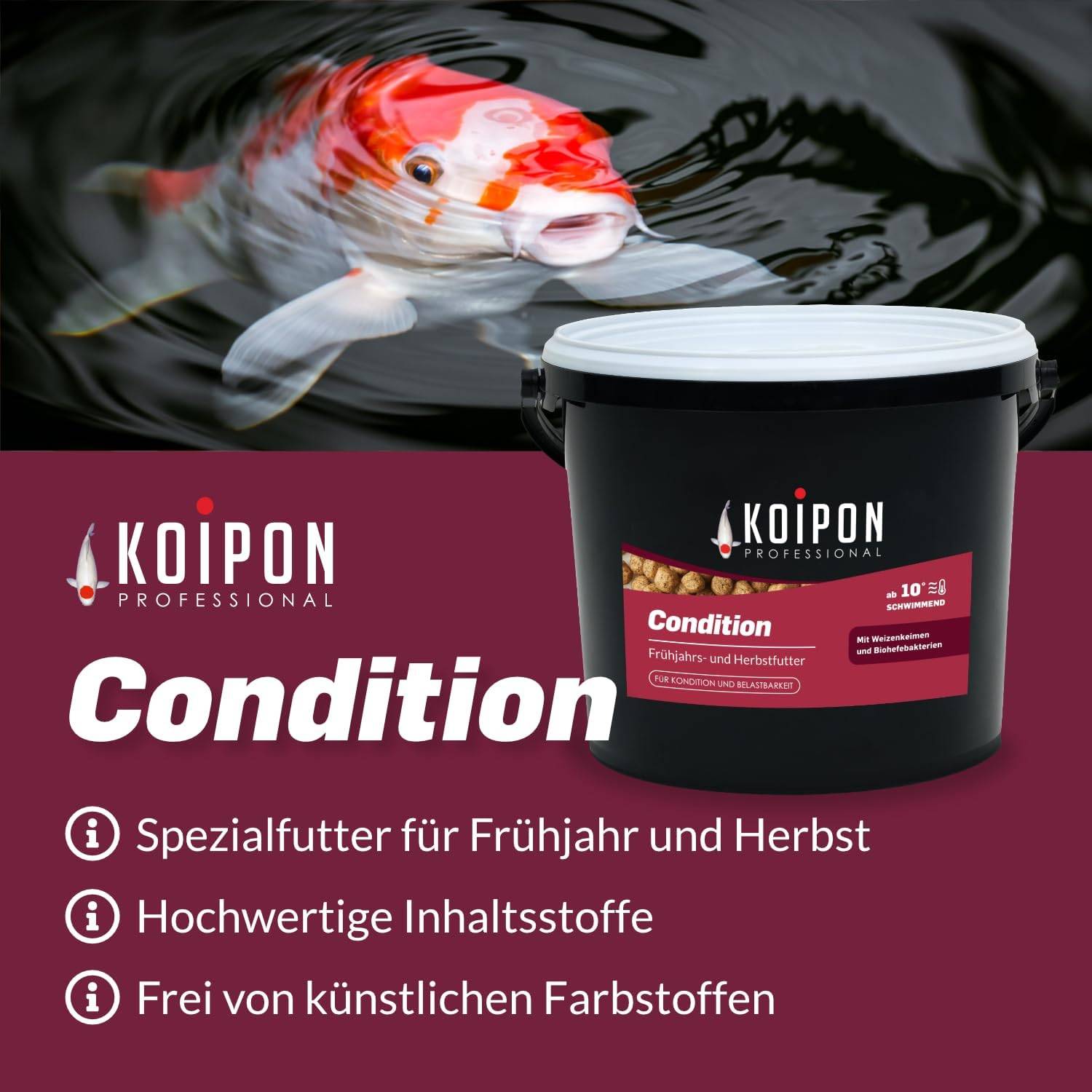 KOIPON Condition 1,75kg 3mm Koi- & Goldfischfutter Frühjahr/Herbst