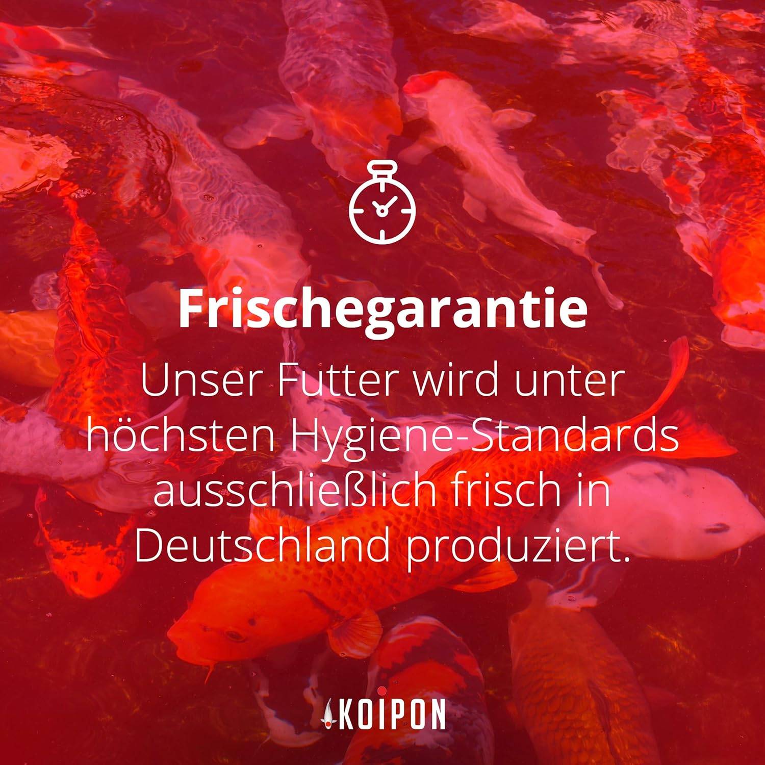 KOIPON Condition 3,5kg 6mm Koi- & Goldfischfutter Frühjahr/Herbst