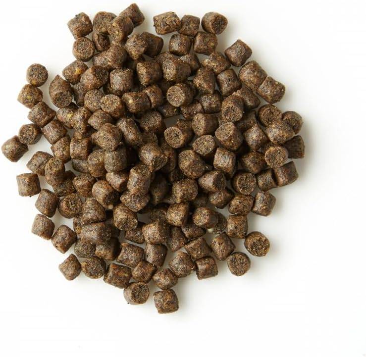 KOIPON Energy 15kg 6mm Winterfutter für Koi & Goldfische sinkend
