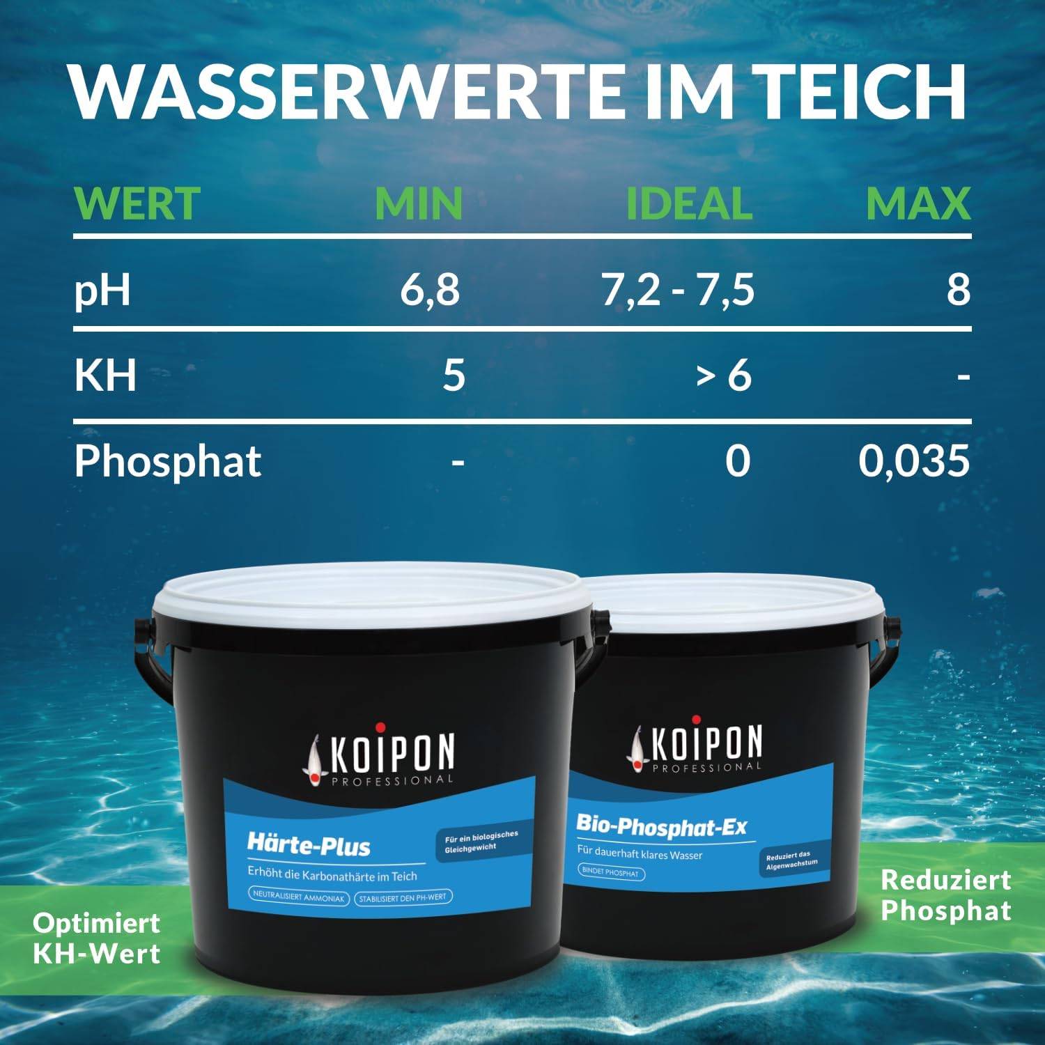 KOIPON Teichklar 0,5L Wasseraufbereiter gegen Phosphat & trübes Wasser