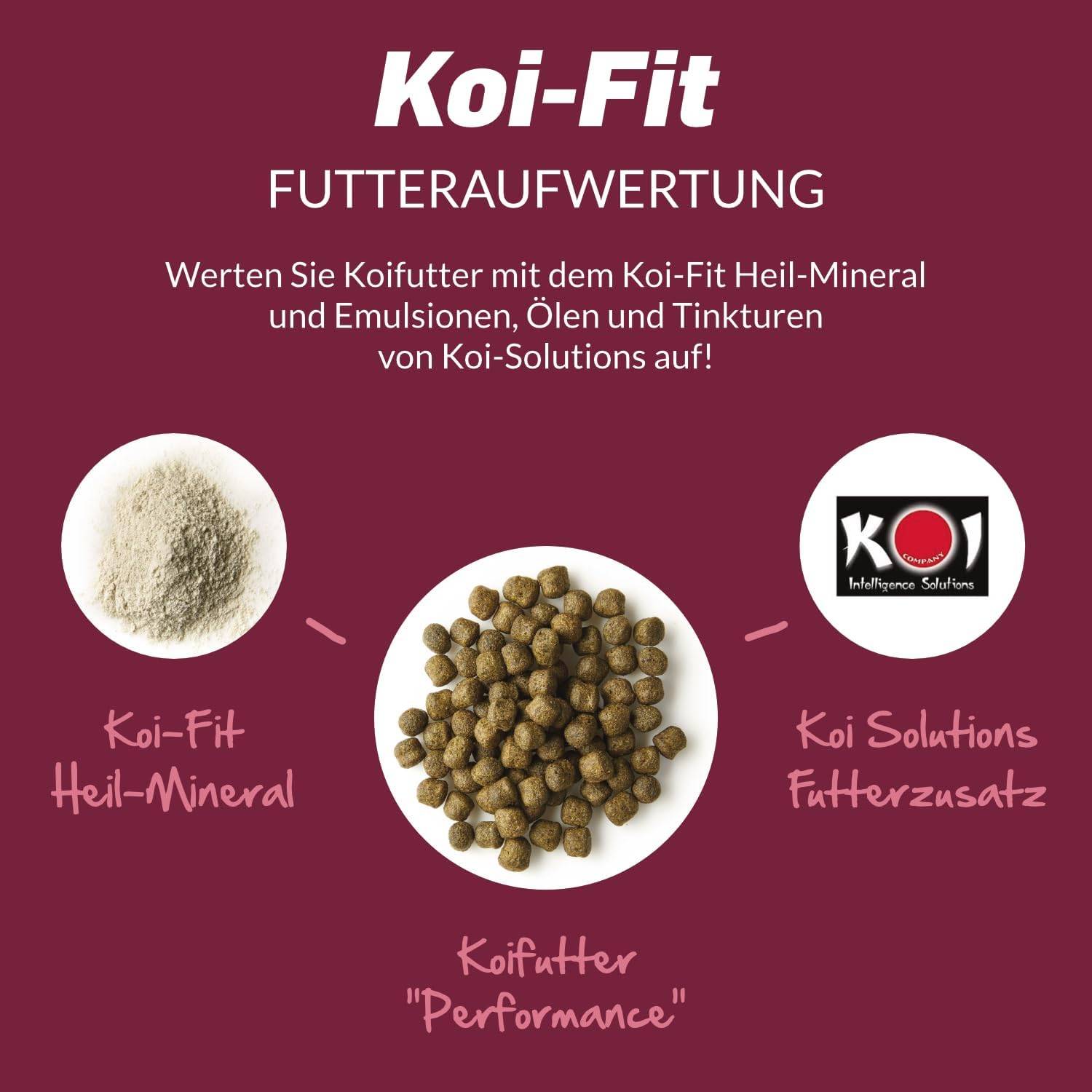 KOIPON Koi-Fit 1kg Futteraufwertung Montmorillonit für Farbe & Gesundheit