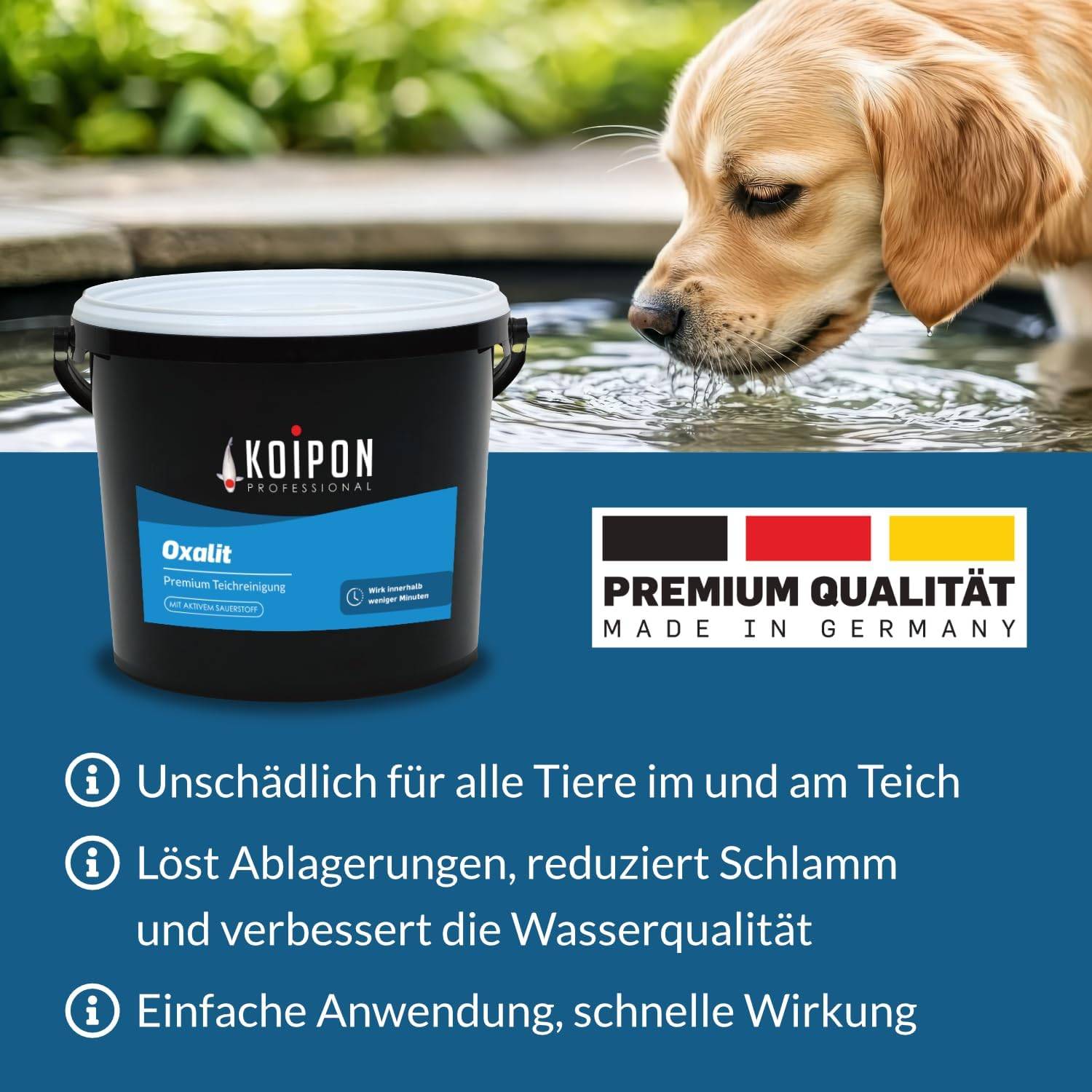 KOIPON Oxalit 1kg Teichschlammentferner gegen Laub & Ablagerungen mit Sauerstoff