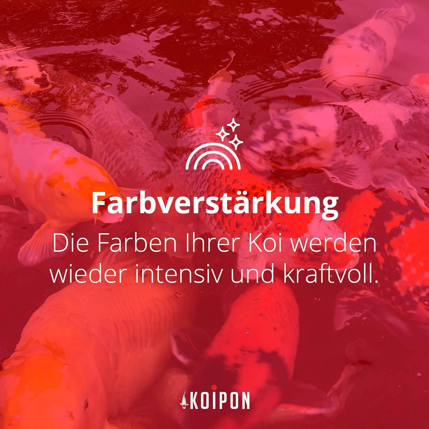 KOIPON Performance 1kg 3mm Sommer-Koifutter mit 6% Spirulina schwimmend