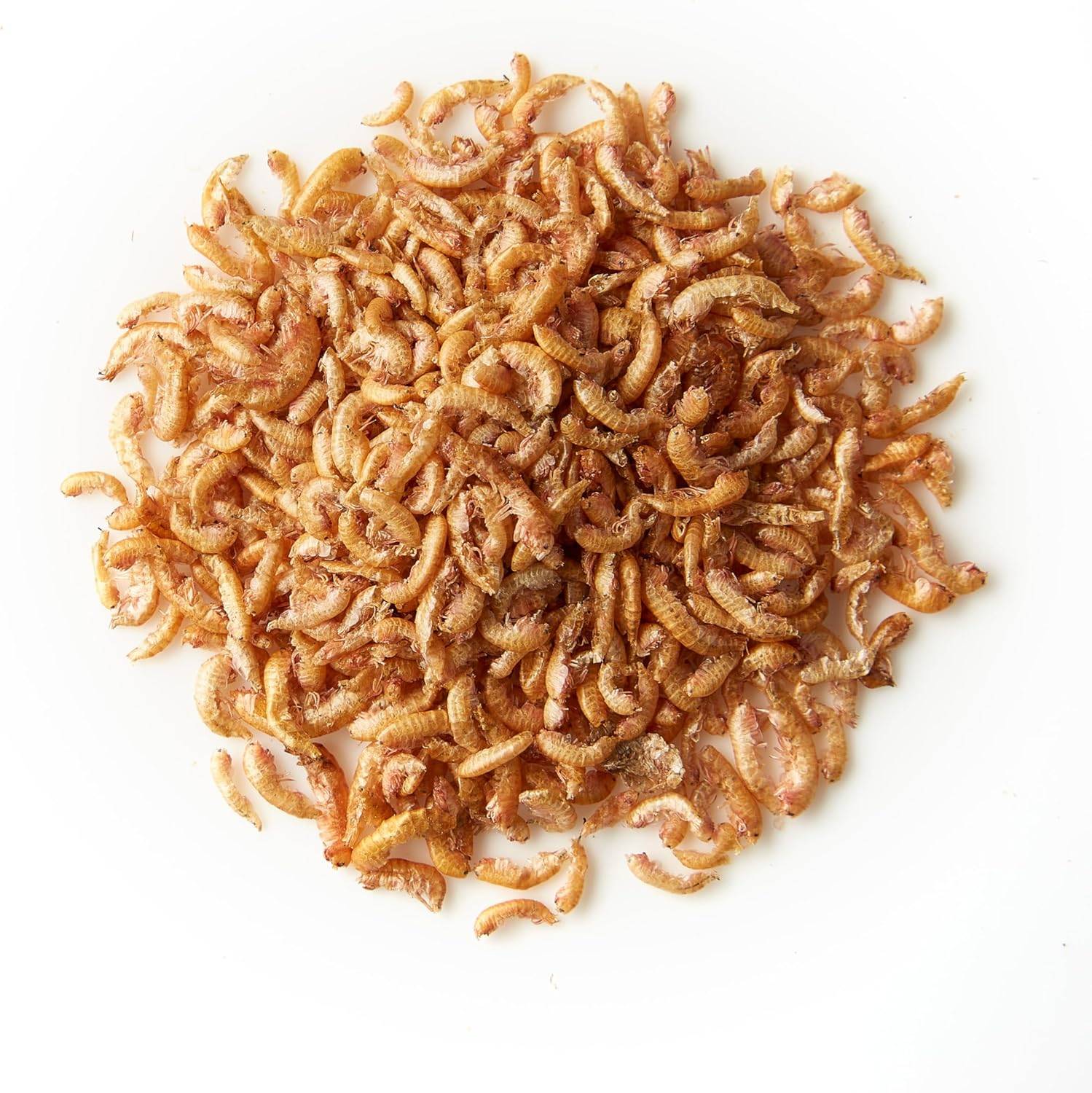 KOIPON Shrimps getrocknet 10L Naturfutter-Leckerli Süßwassergarnelen