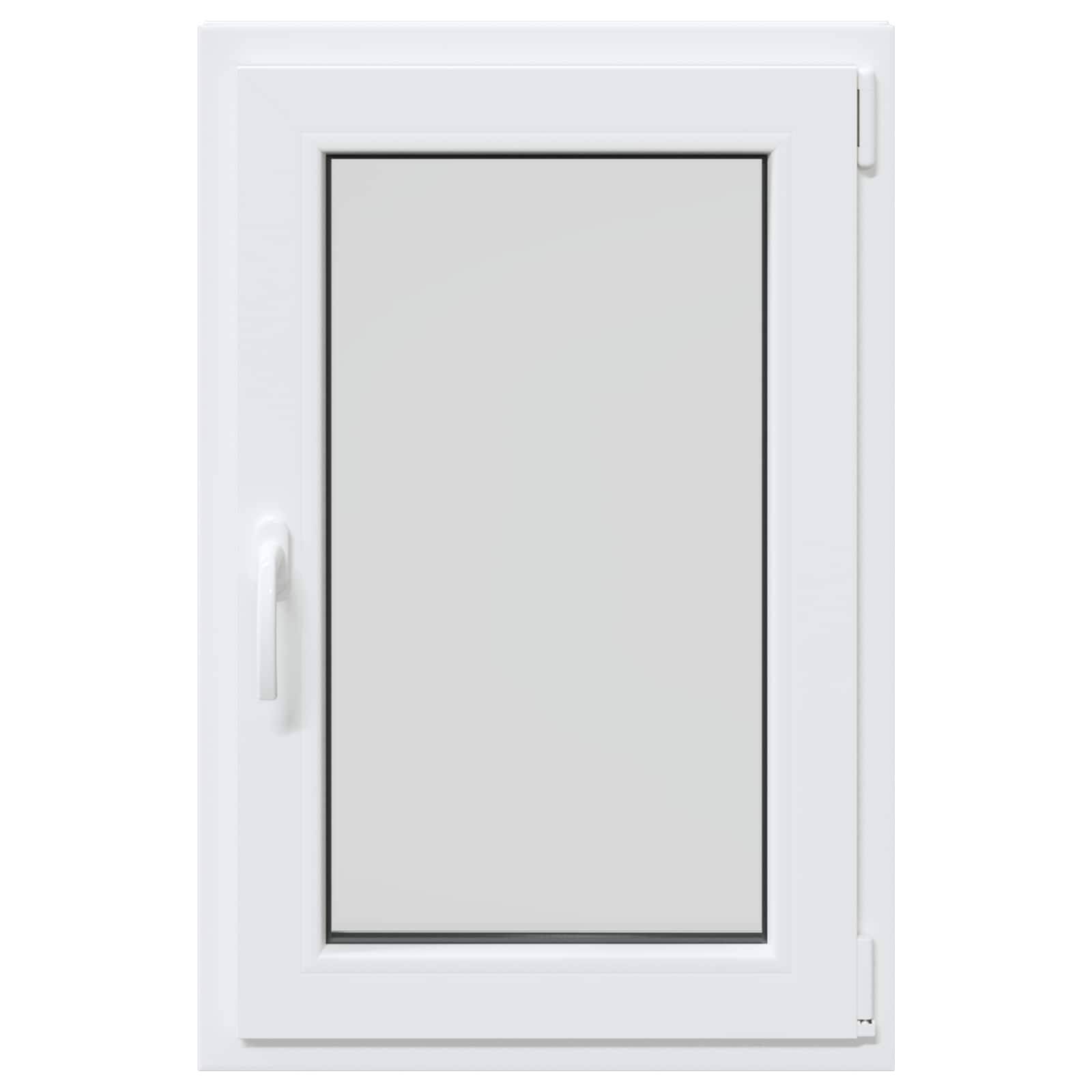 vidaXL Kellerfenster RISOR 60 x 100 cm PVC und Glas Weiß