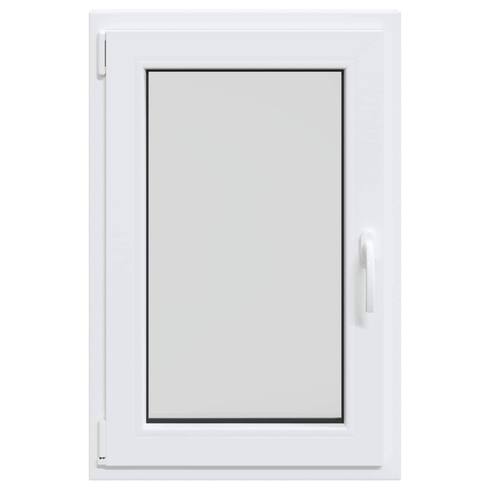 vidaXL Kellerfenster RISOR 60 x 100 cm PVC und Glas Weiß