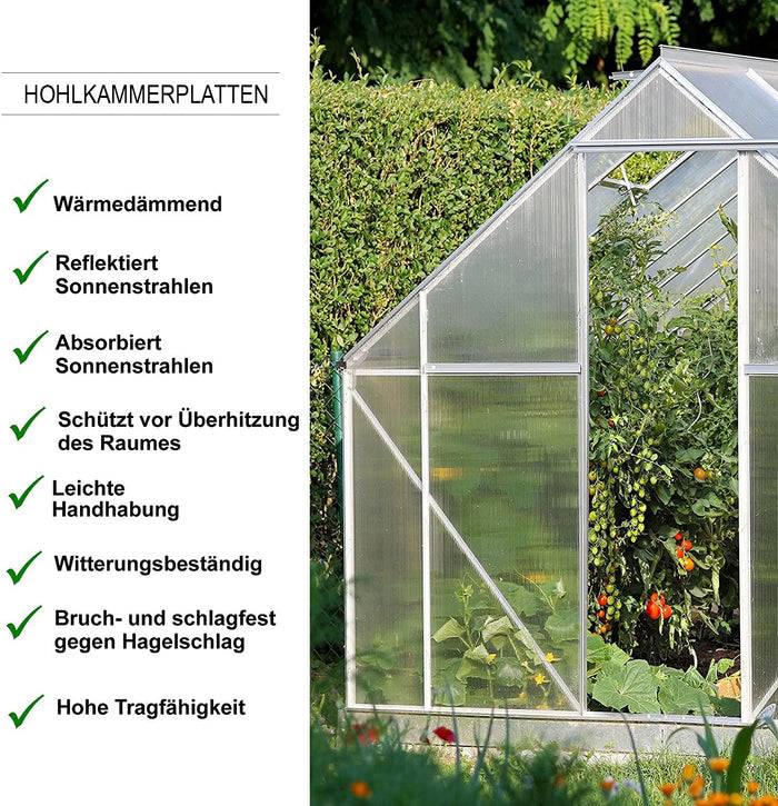 FLOORDIREKT Doppelstegplatte aus Polycarbonat - Stegplatte für Gewächshäuser - 4 mm Stärke - 60,5 x 121 cm - Transparent