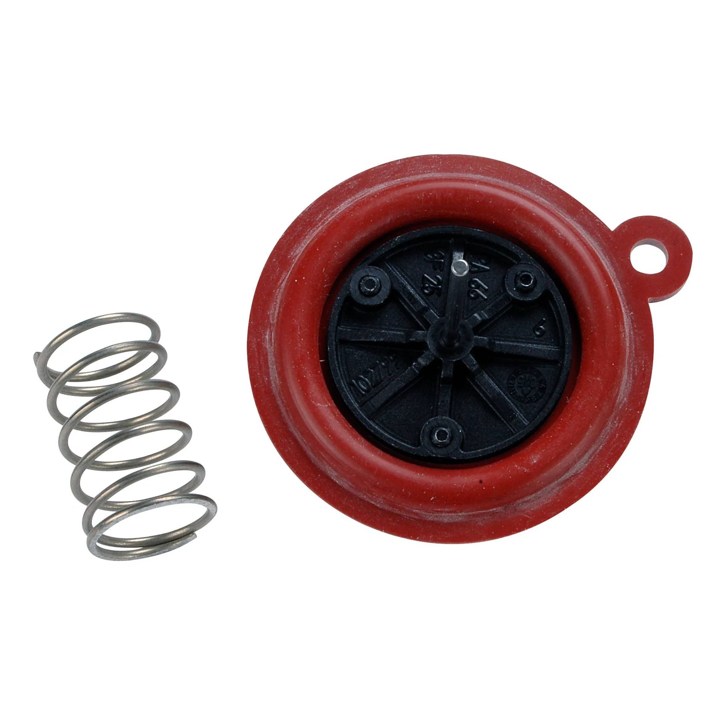 Vaillant Membrane 115300, 1 Stk.