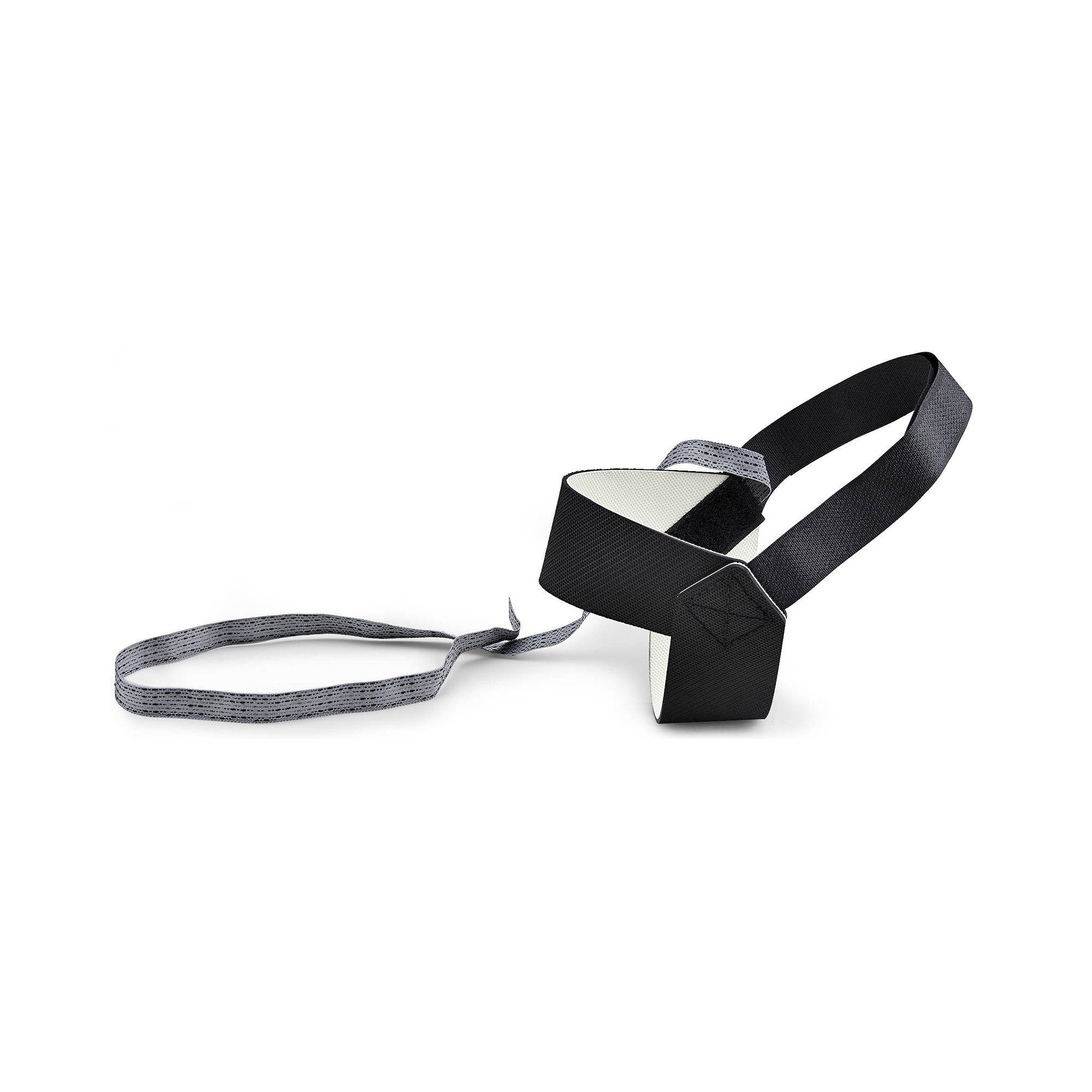 Schwarzes Haustierhalsband mit grauem verstellbarem Riemen auf weißem Hintergrund, seitliche Ansicht gezeigt.