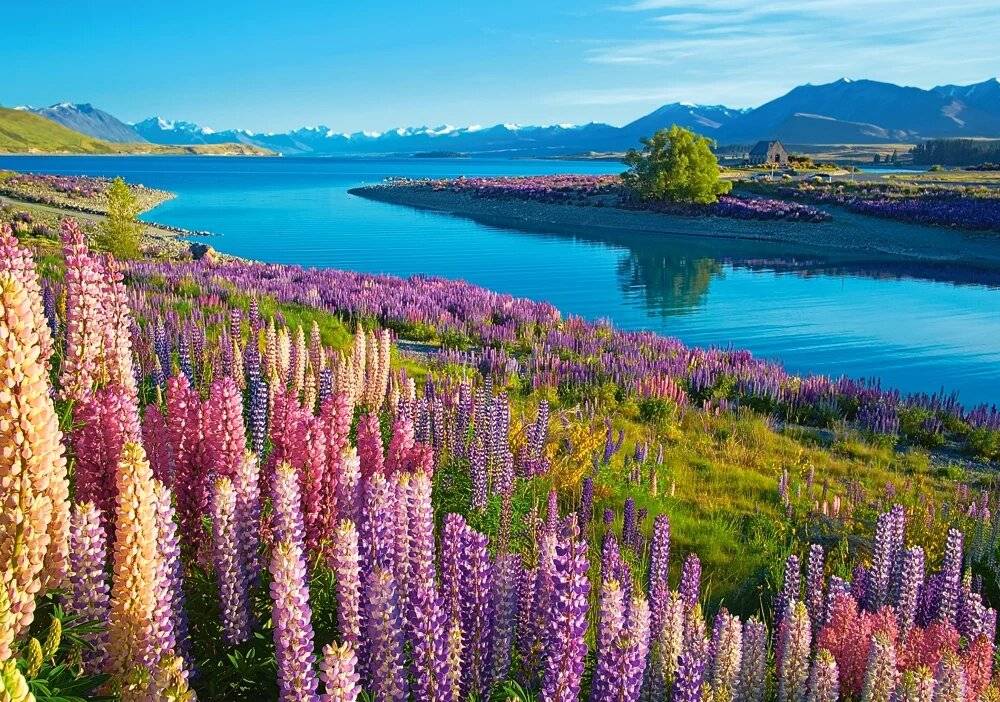Puzzle da 500 Pezzi - Lago Tekapo, Nuova Zelanda