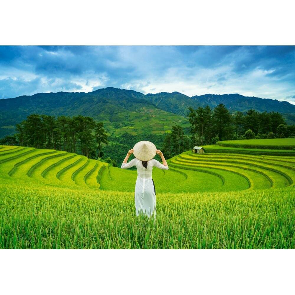 Puzzle da 1000 Pezzi - Campi di Riso in Vietnam