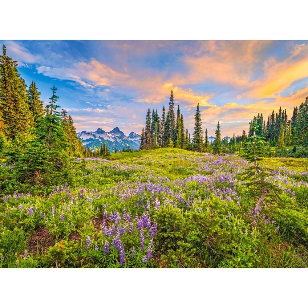 Puzzle da 2000 Pezzi - Fiori del Mattino
