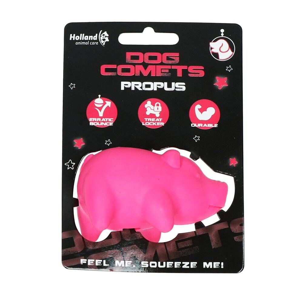 Dog Comets Propus Orange