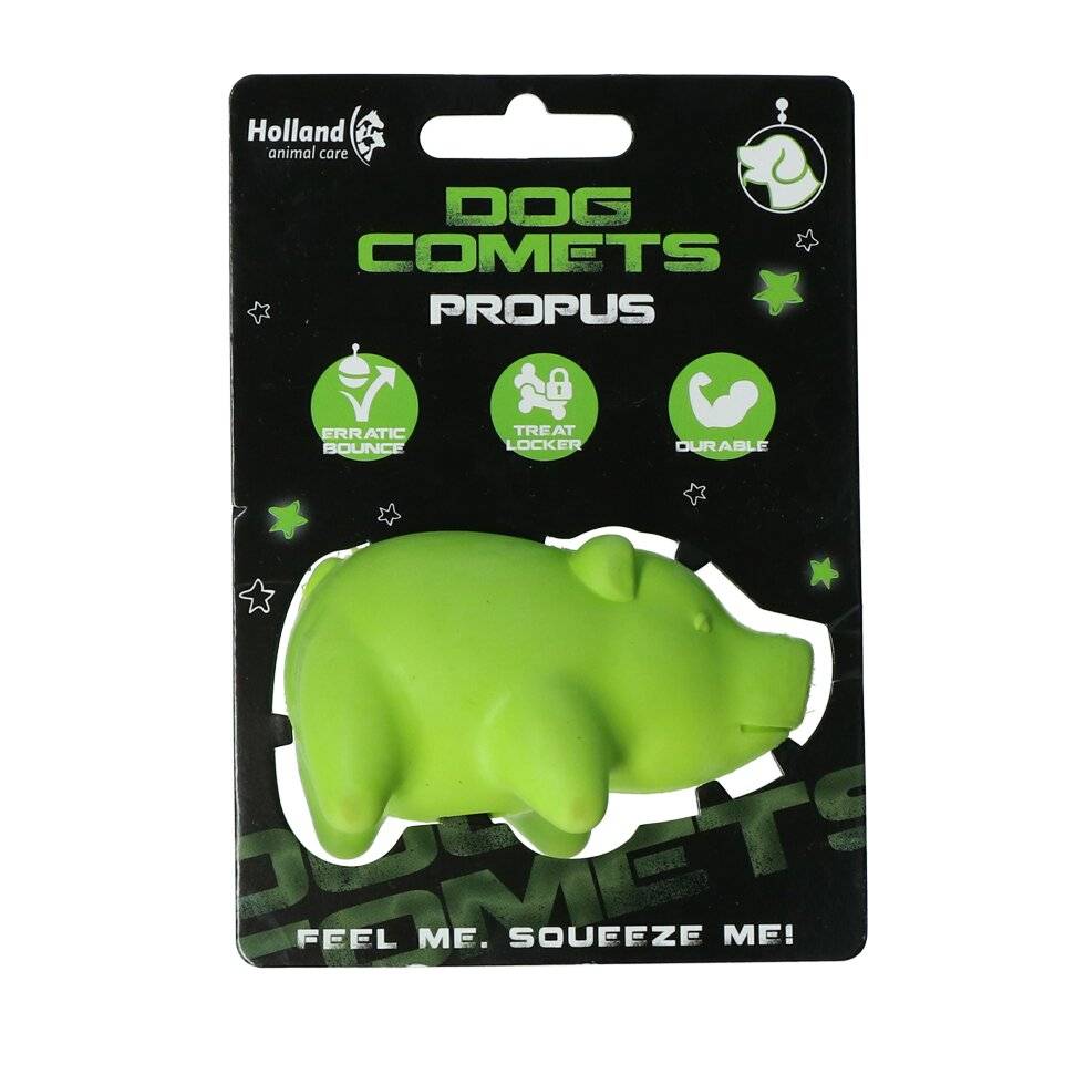 Dog Comets Propus Orange