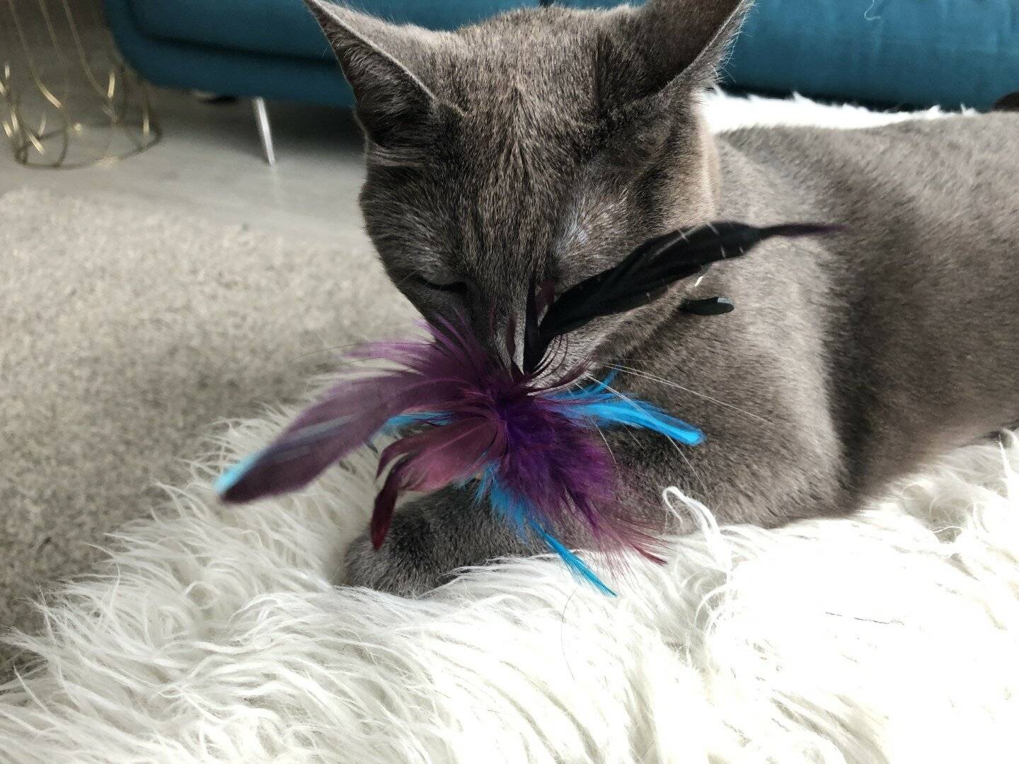 Wooly Luxury Feather Dream Cork lila