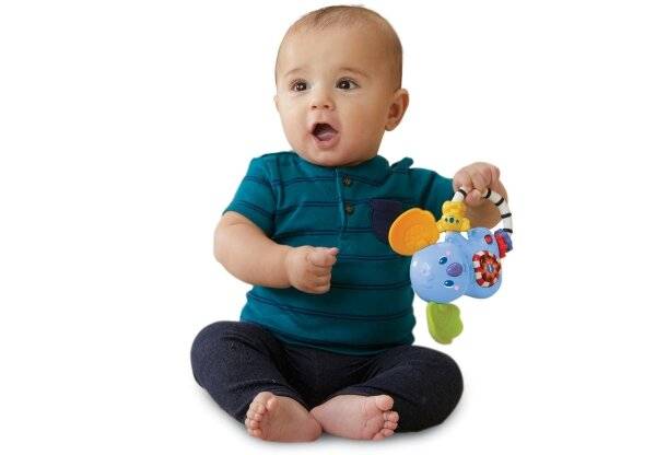Vtech 80-513204 Koalarassel Babyspielzeug, Mehrfarbig