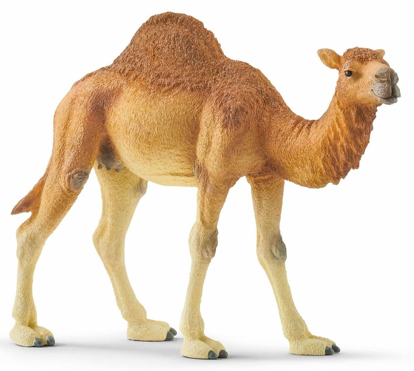 Schleich Wild Life Dromedar, Spielfigur