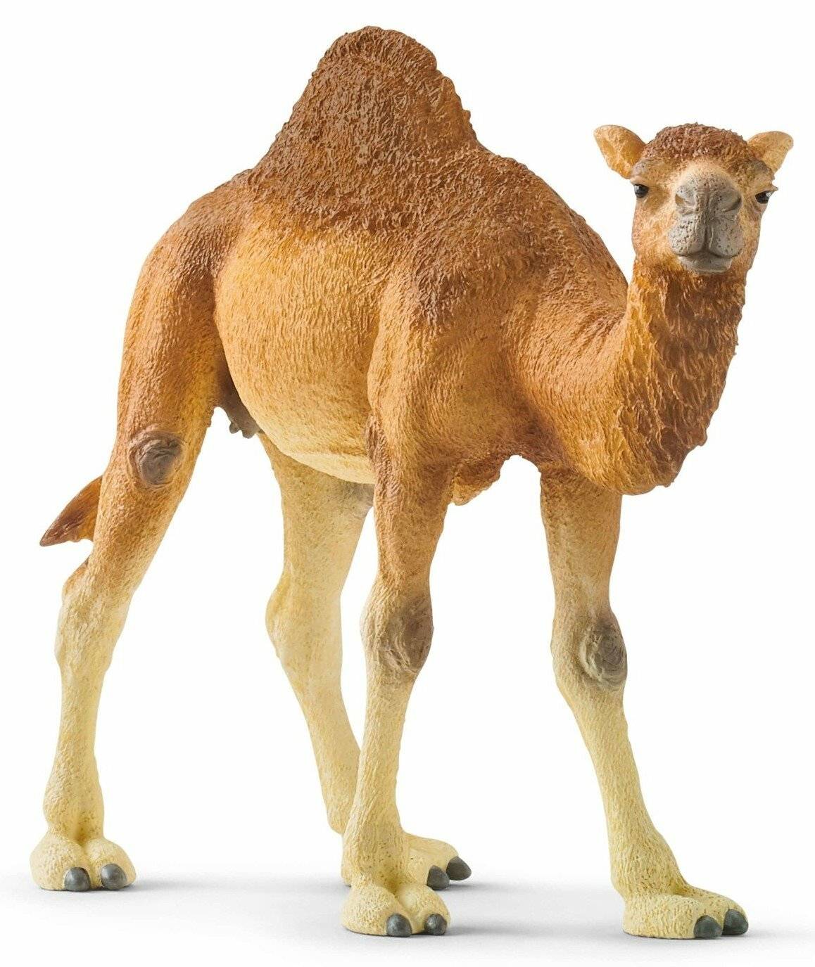 Schleich Wild Life Dromedar, Spielfigur