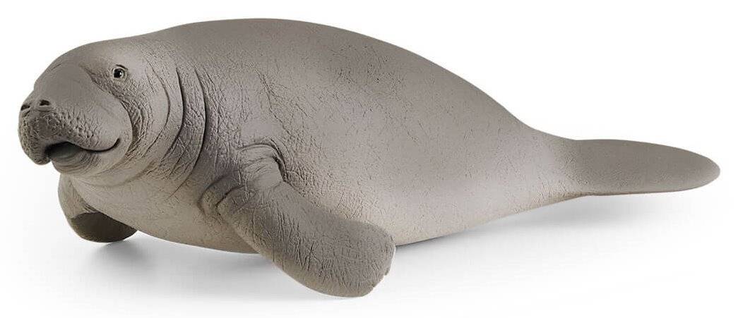 Zviratko - kapustnak