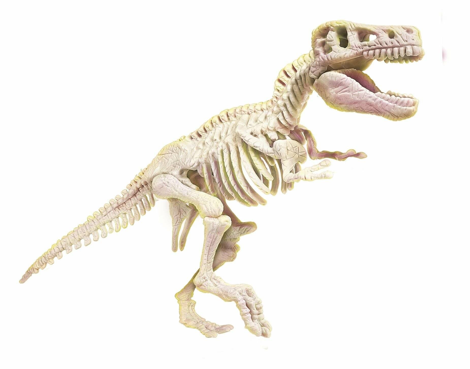 Ausgrabungen - T-Rex