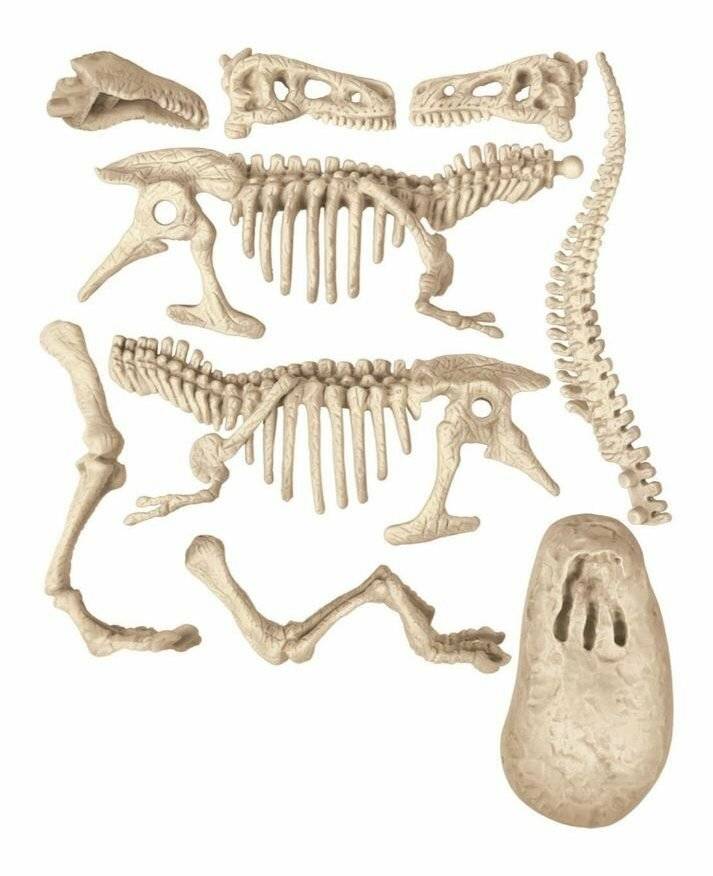 Ausgrabungen - T-Rex