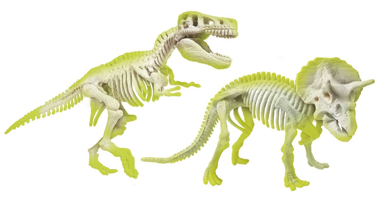 Ausgrabungen - T-Rex + Triceraptos