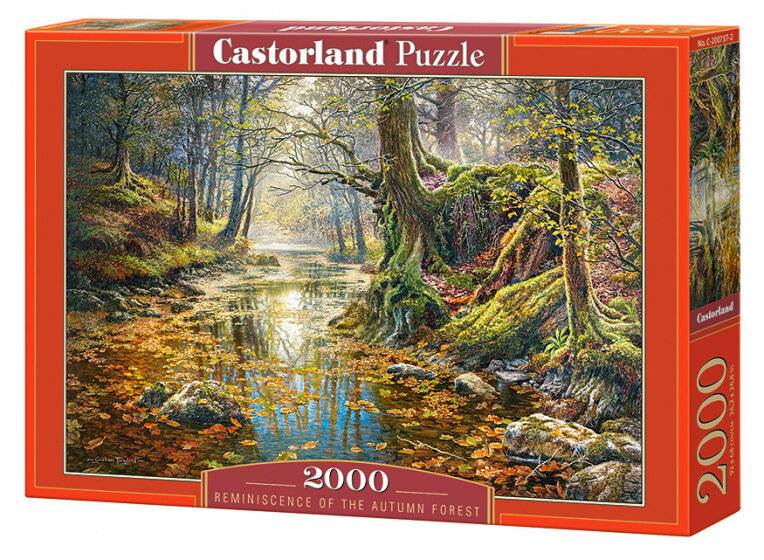puzzle Reminiszenz an den Wald 2000 Teile