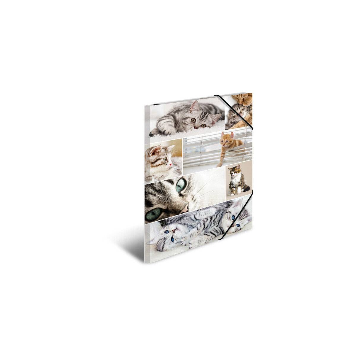 HERMA Sammelmappe Herma 19219 - A3 Katzen mit Gummizug Karton