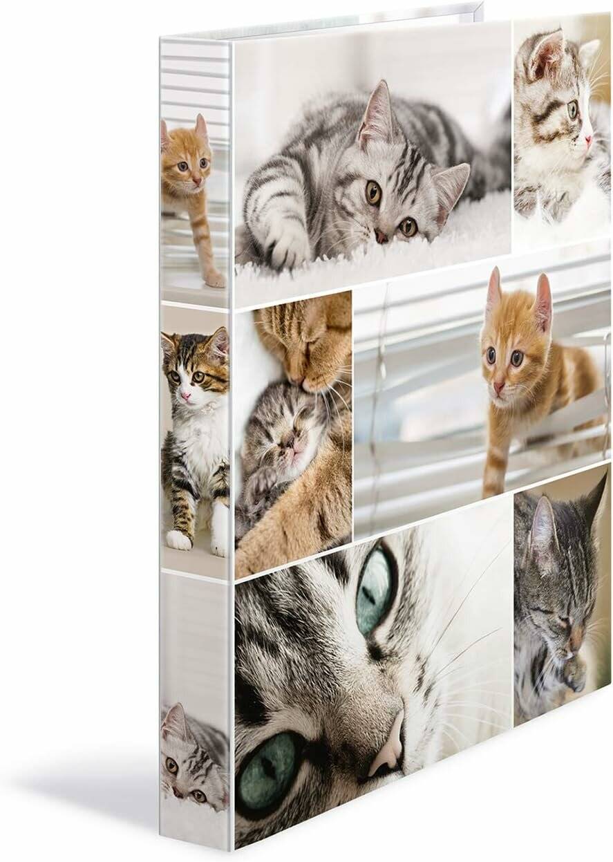 Ringbuch A4 2 Ring 35mm Katzen 19428 Herma