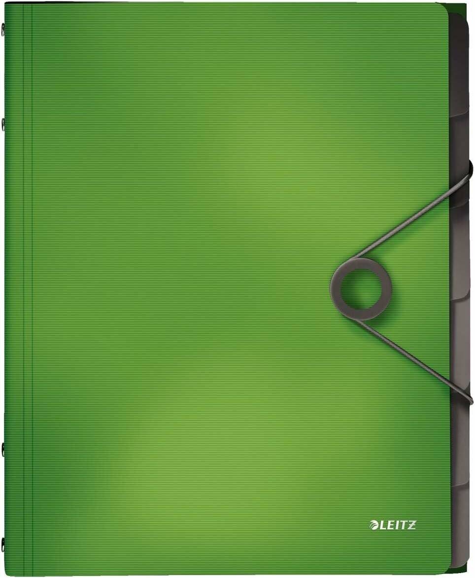 Leitz Ordnungsmappe Solid 6 Fä cher grü n 4569-10-50