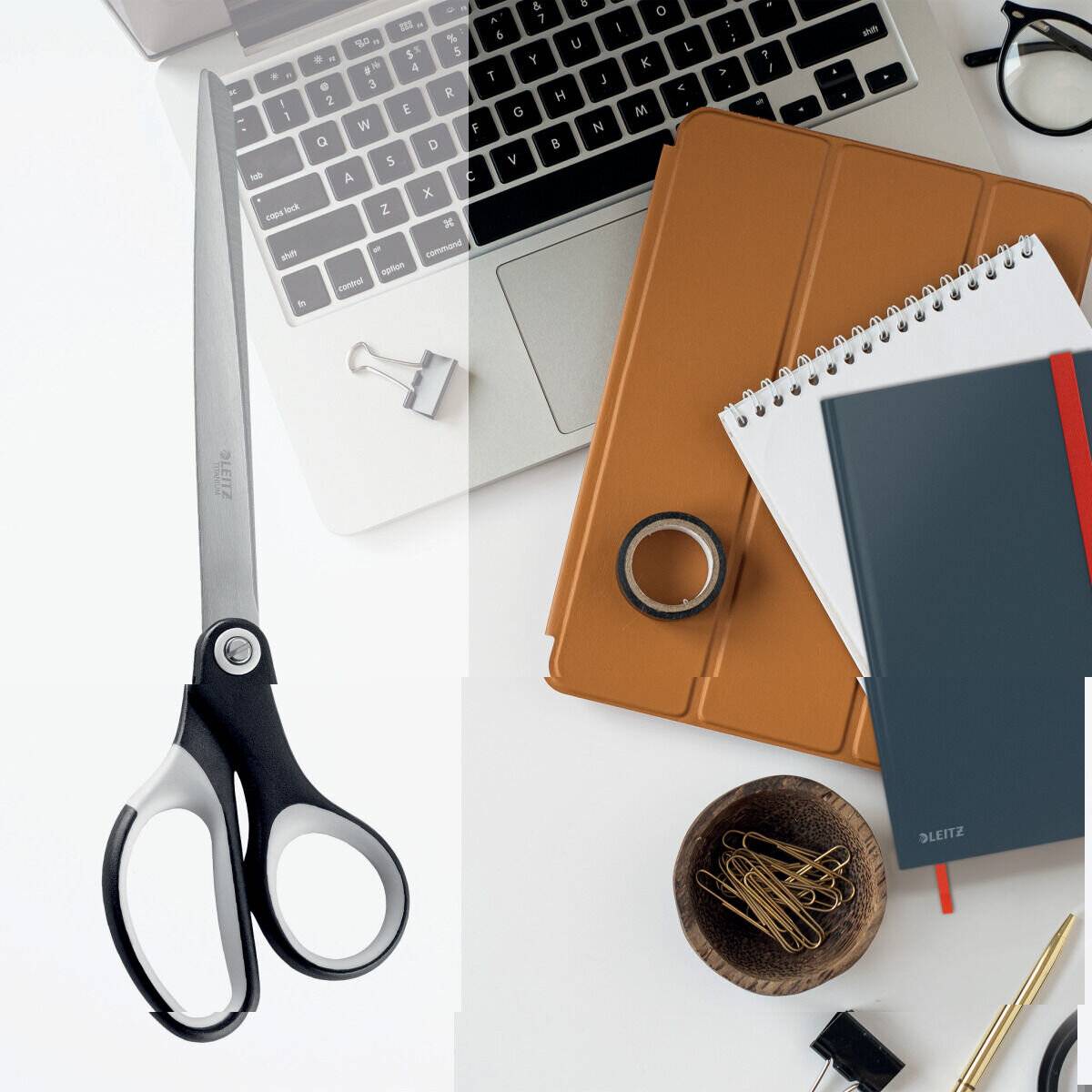 Schere 260mm Titan schwarz Leitz